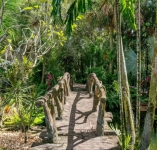 nebaigta Vila Floridoje „Avataro” gerbėjams